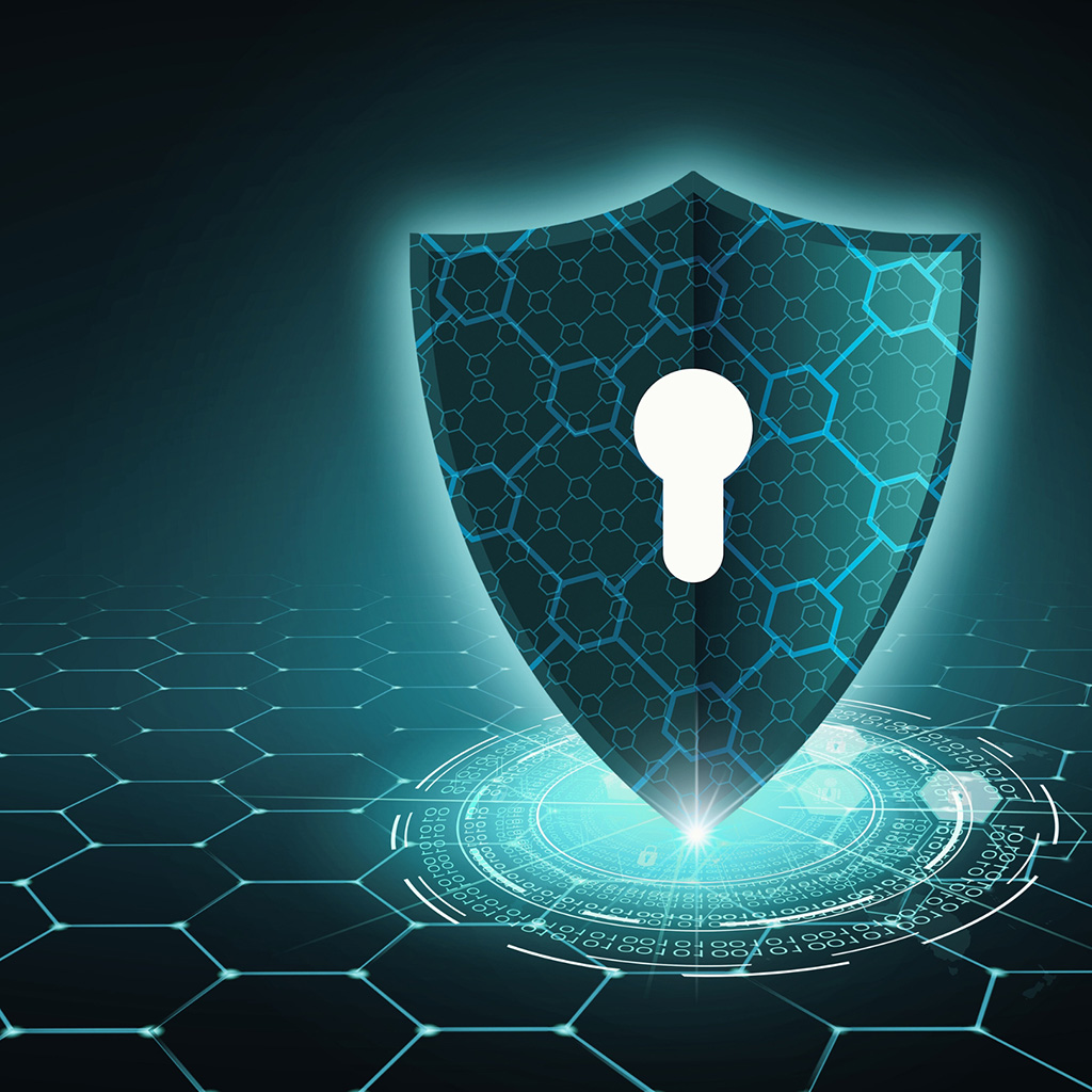 Cybersecurity Protection