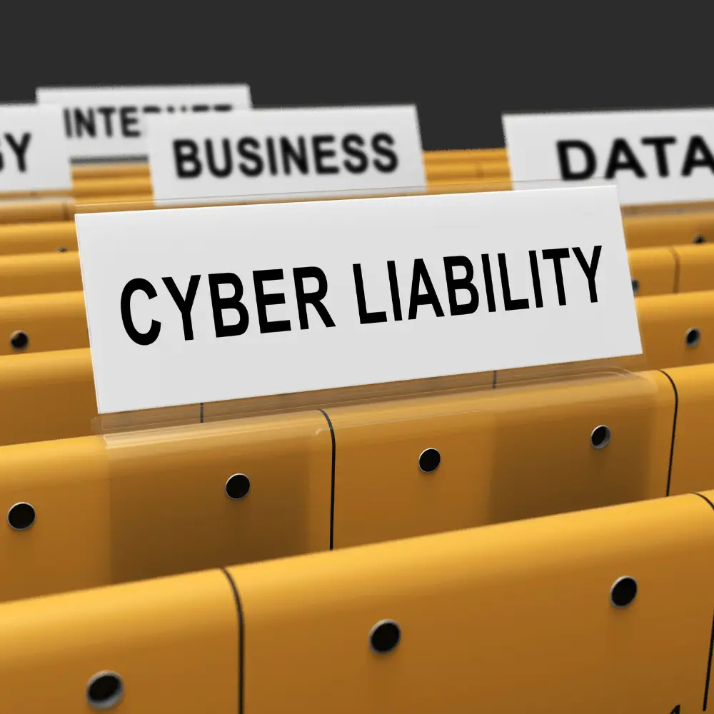 Cyber Liability Insurance ​